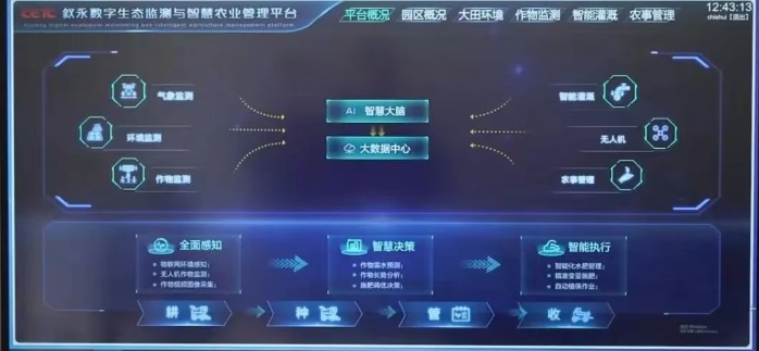 振兴2